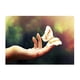thumbnail image 1 of 1set Crystal/Rhinestone/ Picture Butterfly in Hand Soledad Bordado de la pintura del diamante, 1 of 10
