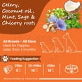 thumbnail image 6 of FPN Vegan Dog Treats Skin & Coat Support, 198g Grain-Free Superfood Biscuits with Coconut Oil, Chia & Sweet Potato, Hypoallergenic Snacks for Dogs, 6 of 6