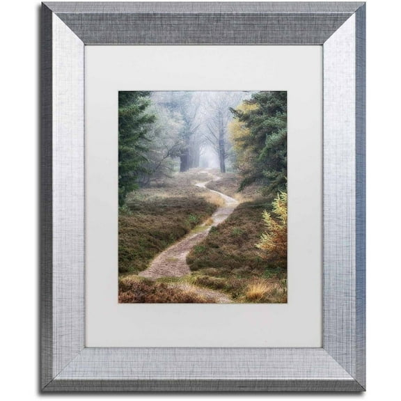 Trademark Fine Art 'Hiking Trail' Canvas Art by Cora Niele, White Matte, Silver Frame