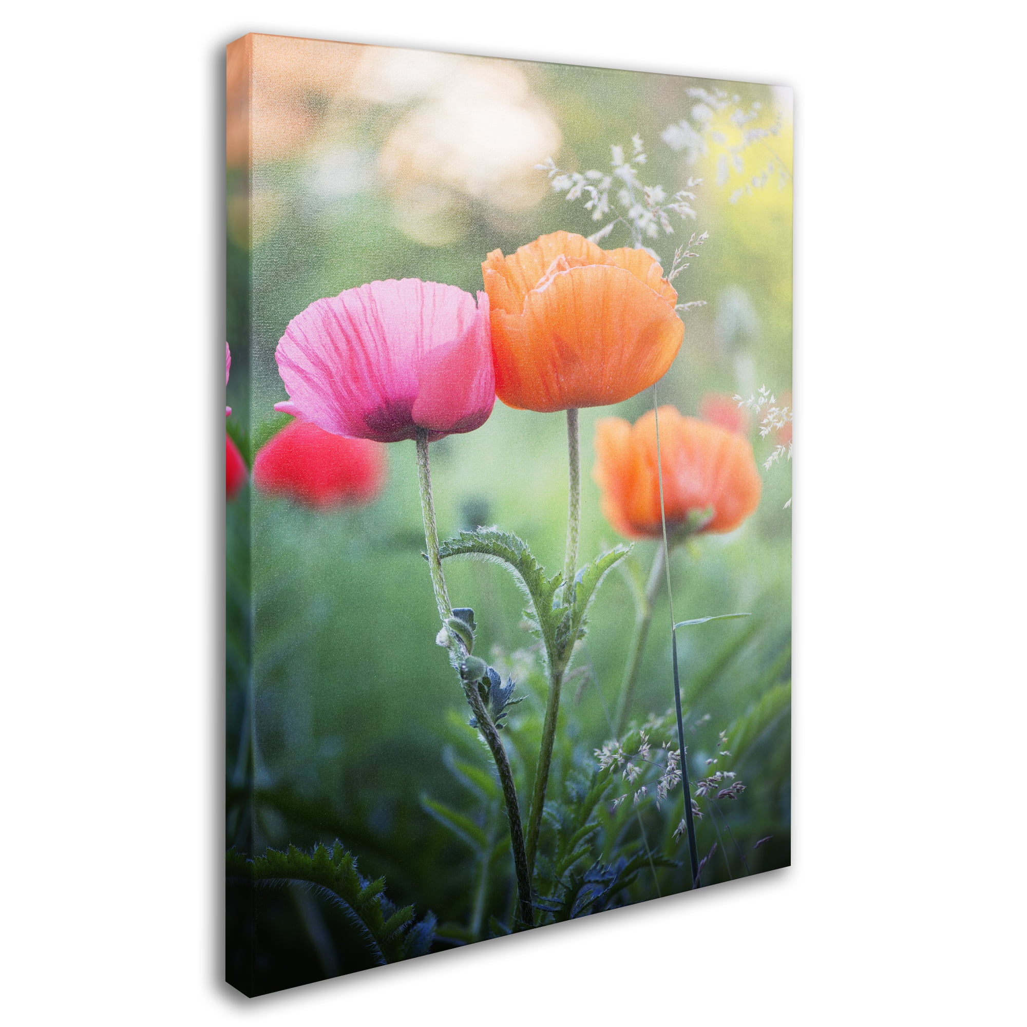 Trademark Fine Art "Love Me Again" Canvas Art by Philippe Sainte-Laudy