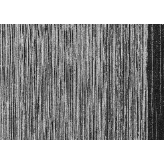 Ahgly Company Indoor Rectangle Oriental Gray Modern Area Rugs, 3' x 5'