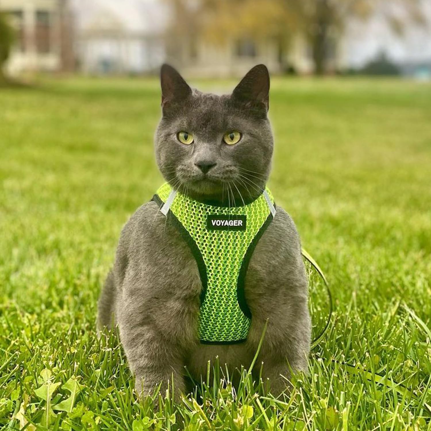 Voyager Step-In Air Mesh Dog Harness, Green, XS photo 8