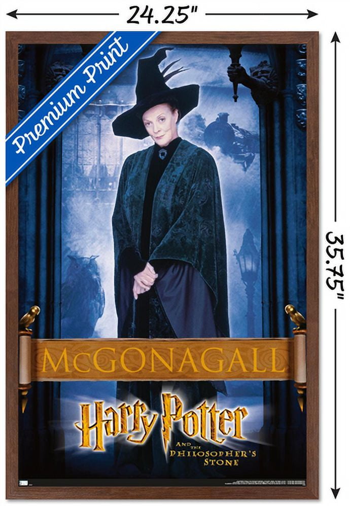 Harry Potter and the Philosopher's Stone - McGonagall Wall Poster, 22.375" x 34", Framed
