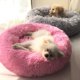 thumbnail image 5 of Modern Soft Plush Round Pet Bed for Cats or Small Dogs, Mini Medium Sized Dog Cat Bed Self Warming Autumn Winter Indoor Snooze Sleeping Cozy Kitty Teddy Kennel (20'' D x 8'' H, Light Grey), 5 of 5