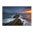 thumbnail image 2 of Trademark Fine Art "Red of Pleasure" Canvas Art by Mathieu Rivrin, 2 of 4