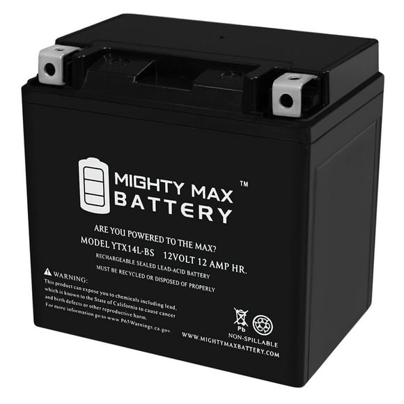 YTX14L-BS Battery for Harley-Davidson Iron 883 XL883N 2014