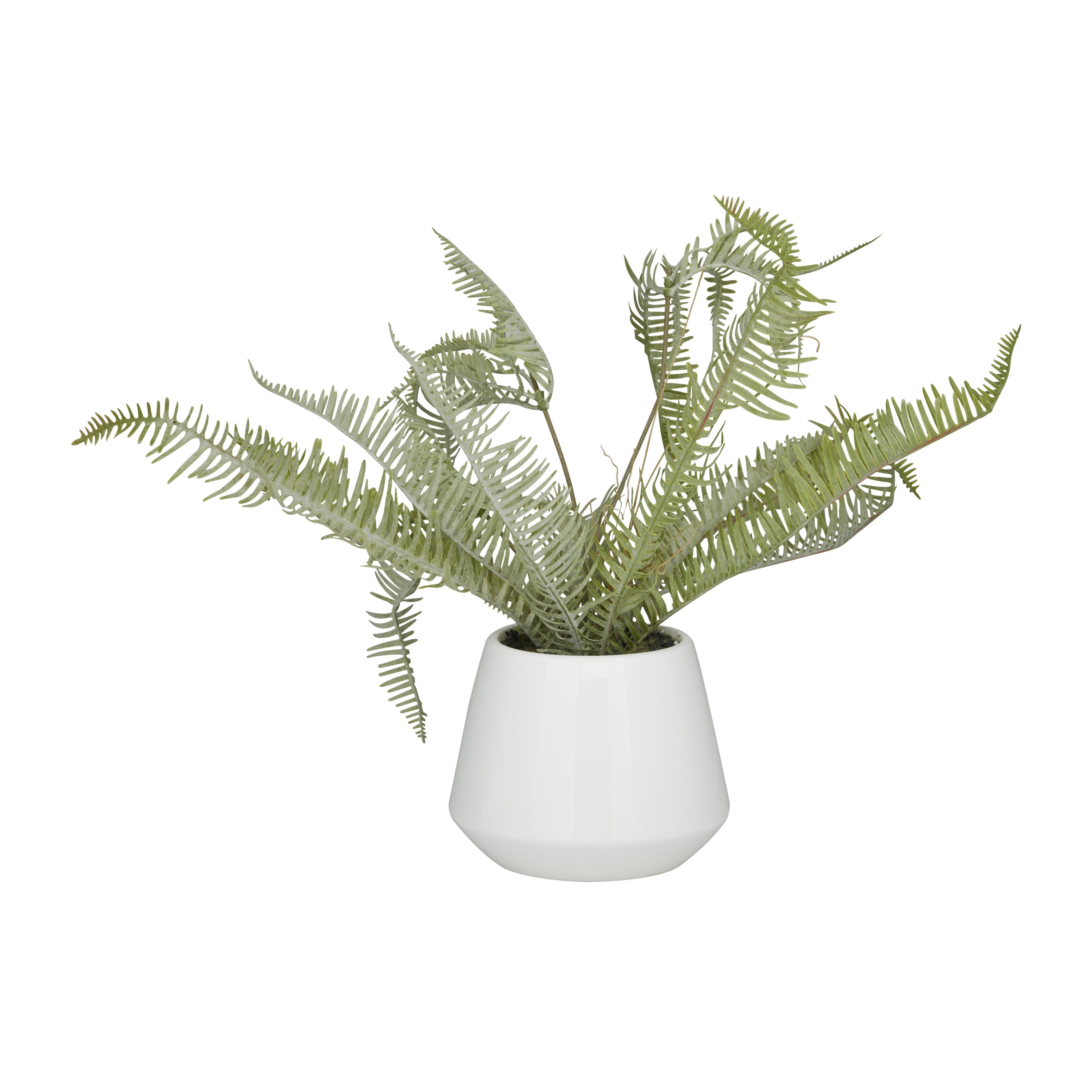 DecMode 14" Artificial Fern Plant in Realistic Leaves and White Ceramic Pot