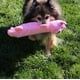 thumbnail image 5 of Juguete para perros SmartPetLove Snuggle Puppy Tender Tuffs Pig, 5 of 6