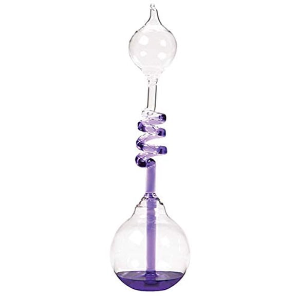Westminster Hand Boilers (purple)