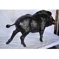 thumbnail image 6 of Nifao Lifesize Boar Made of Bronze, Statue – Outdoor Garden Decor Sculpture, 12"L x 50"W x 30"H, 6 of 10