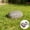 MulticolorB-6B, variant on MMJ Hide a Key Rock Resin Garden Outdoor Secret Storage Box Decorative Landscape Hider 3.54x2.52x1.38in