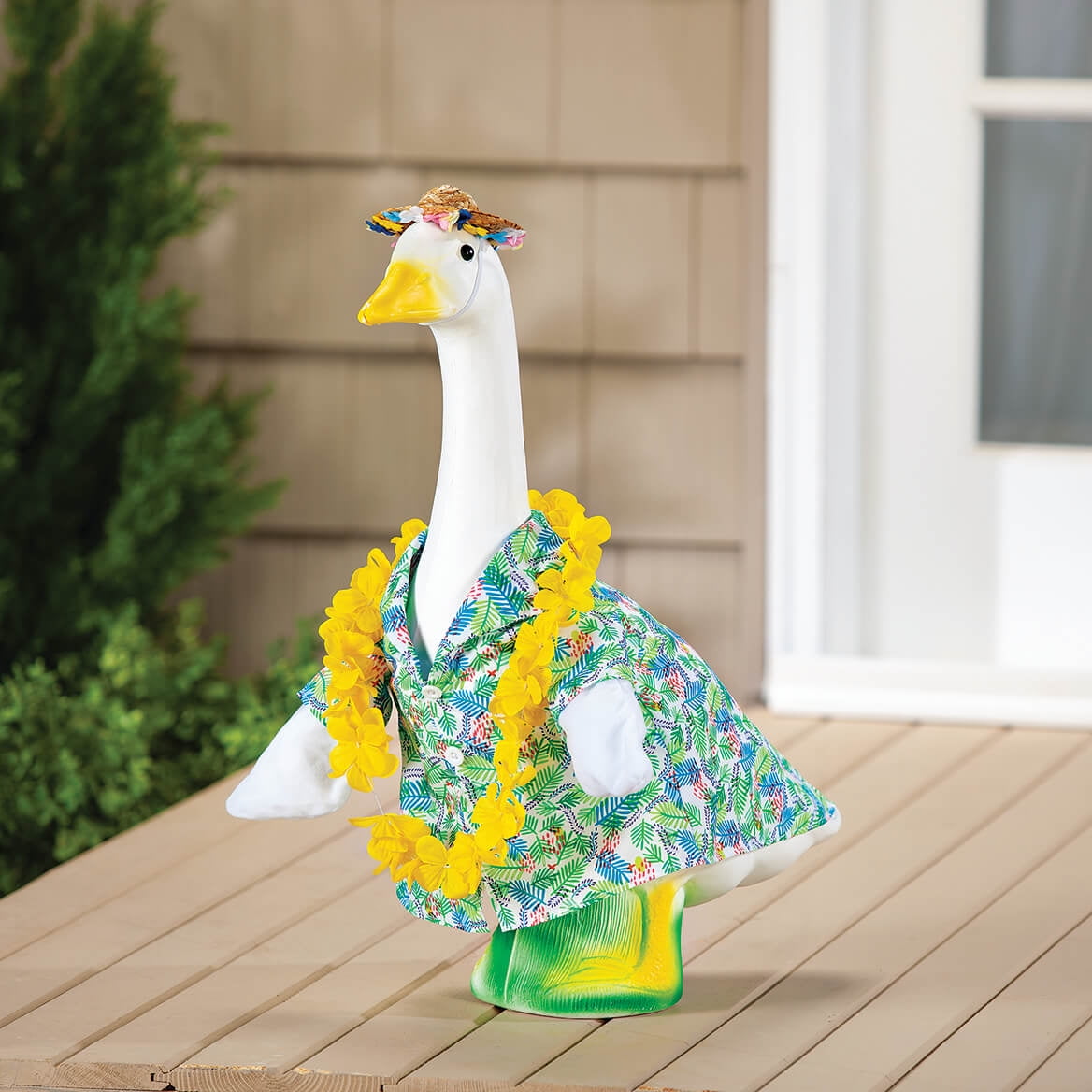 dress up goose