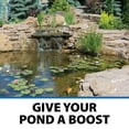 thumbnail image 5 of CrystalClear PondShock For Crystal Clear & Healthy Water, 5 of 10