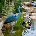 thumbnail image 5 of Aquascape 81030 Blue Heron Bird Decoy, 5 of 5