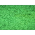 thumbnail image 1 of Ahgly Company Indoor Rectangle Patterned Neon Green Area Rugs, 2' x 5', 1 of 6