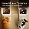 thumbnail image 3 of Petlibro One RFID Smart Automatic Cat Feeder, 5G Wi-Fi Smart Pet Feeder with Collar Tag, 3L Auto Cat Food Dispenser with App Control, 1–10 Meals per Day, Bundle of 2, 3 of 8