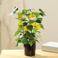thumbnail image 2 of The New Simulation Fruit Big Bonsai Is Suitable For Festive Decoration And Home Decoration, 2 of 9