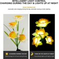 thumbnail image 4 of String Lights 2 Pack Solar Daffodil Lights Decorative Path Lights for Backyard Path Walkway Lawn White, 4 of 4