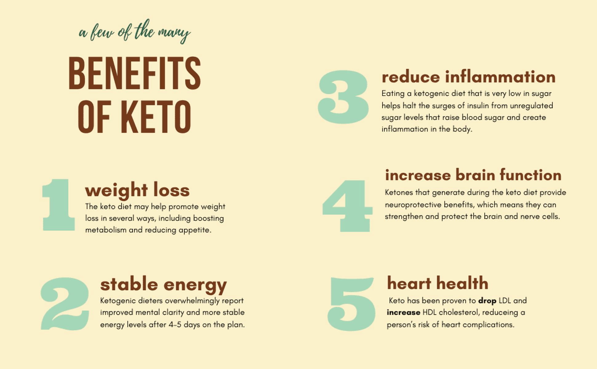 Keto Bars Sampler Pack - Low Carb, No Sugar, Gluten Free, High Fat Snack Bars (12 Pack)