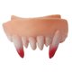 thumbnail image 5 of Juego de 10 piezas de dientes de Halloween, dentaduras postizas extravagantes, dientes frontales de zombi, dientes de conejo, 5 of 5
