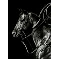 thumbnail image 2 of Chapman, Julie T. 19x24 Black Ornate Wood Framed with Double Matting Museum Art Print Titled - Scratchboard Rodeo V, 2 of 4