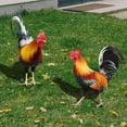 thumbnail image 3 of LAIQIEN 2 Pcs Acrylic Rooster Lawn Stakes Outdoor Garden Chicken Statues Farm Yard Courtyard Lawn Decoration Country Gifts, 3 of 10