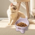 thumbnail image 1 of Tazones de gato s Contenedor de alimentos Anti vómitos Protección contra el cuello Cerámica y tazón de agua para gatos pequeños, medianos y violeta, 1 of 8