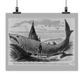 thumbnail image 2 of Print: The Wonderful Fish, Caught Near Eastport, Maine, Aug. 3, 1868, 2 of 4