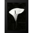 thumbnail image 2 of Geyman, Vitaly 13x18 Black Modern Framed Museum Art Print Titled - Calla Lily Perfection III, 2 of 5