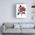 thumbnail image 3 of Unknown 'Grand Blooms V' Canvas Art, 3 of 3