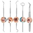 6pc dental hygiene tool kit dentist tartar scraper scaler dental