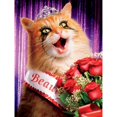 thumbnail image 1 of Drill Diamond Painting (DE3379) 5D DIY Kit de punto de cruz completo Decoración para el hogar (A921 Cat) 50x70cm FLhrweasw Nuevo, 1 of 1