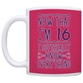 thumbnail image 2 of ThisWear 16th Birthday Gifts for All Now That I'm 16 I Know Everything 11 ounce 2 Pack Coffee Mugs Pink, 2 of 4