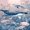 Underwater Ocean Whales Sea Turtles Jellyfish, variant on 31"x8" Glowing Jellyfish Deep Ocean Waters Ethereal Complete Skateboards for Beginners, Double Kick 7 Ply Maple Deck Skateboard with Wheels, Gifts for Kids Teens