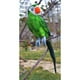 thumbnail image 4 of Figura decorativa realista de loro de resina para valla de jardín 45cm, 4 of 7