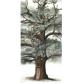 thumbnail image 2 of McCavitt, Naomi 18x32 White Modern Wood Framed Museum Art Print Titled - Oak Tree Composition I, 2 of 4