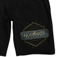 thumbnail image 2 of Hogwarts Legacy Hexagon Logo Men's Black Sleep Pajama Shorts-Medium, 2 of 5