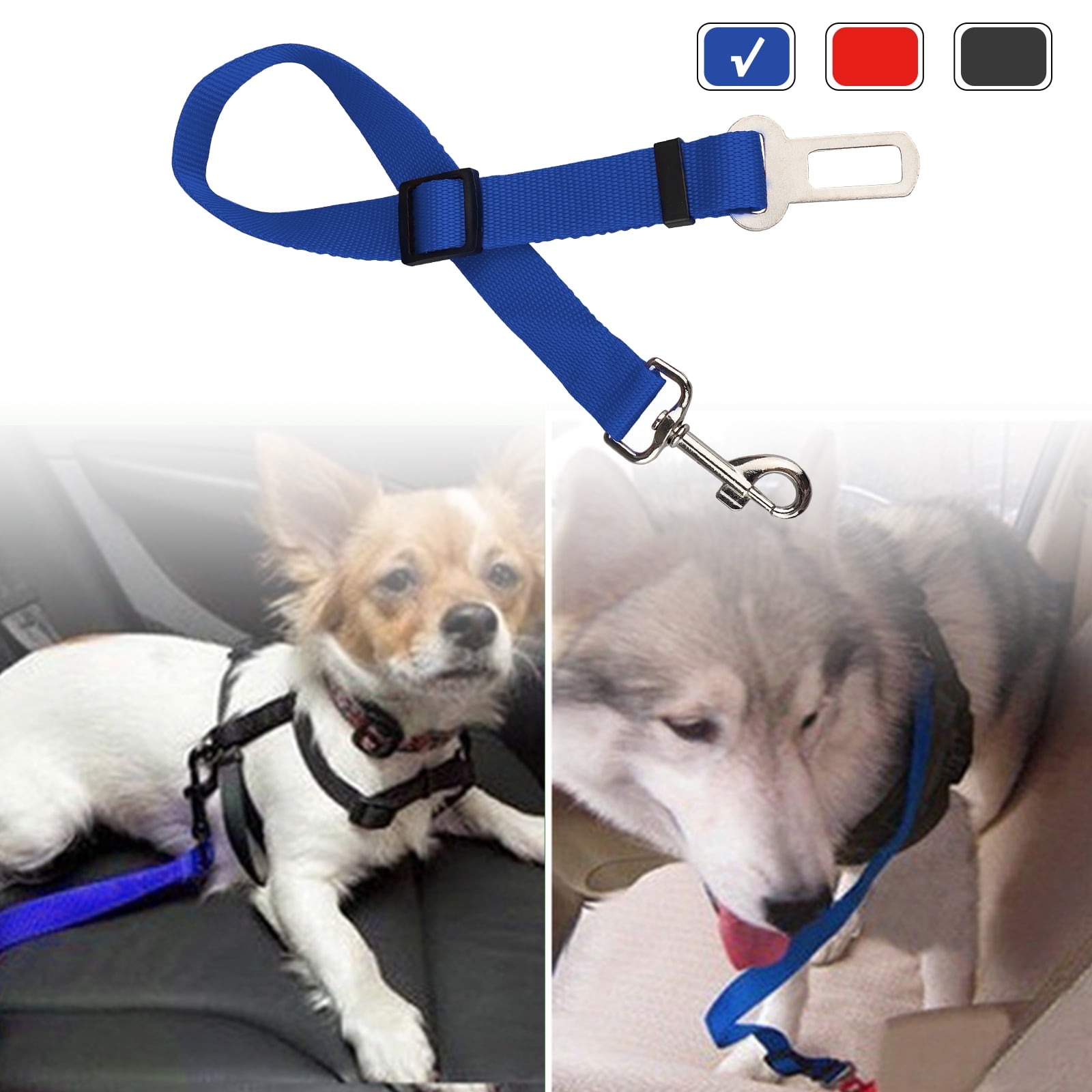 dog travel guard