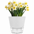 thumbnail image 2 of 6 Inch Self Watering Plant Pot with Visual Reservoir and Drainage Hole, Planting Pot for Indoor Outdoor 5pack White, 2 of 7