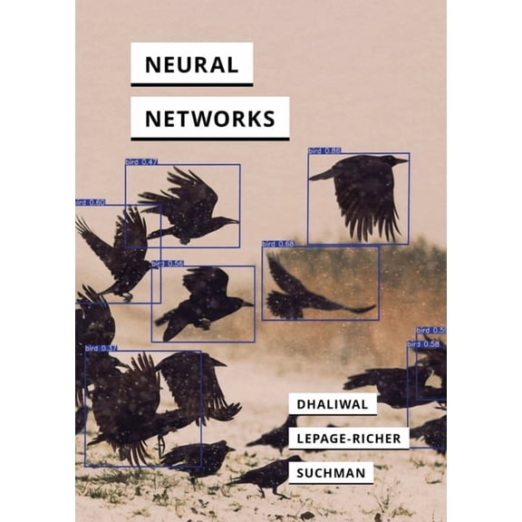 In Search of Media Neural Networks, (Paperback)