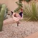 thumbnail image 2 of Garden Stake Chicken Silhouette Pastel de patio ACRYLIC ACRYLIC ARTE Art Rooster Yard para jardín, 2 of 5