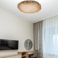 thumbnail image 4 of Troglfold lamp cover Hanging Lamp Shade Diffuser Pendant Light Barrier Cover Lampshade Shade Diffuser Sock for Home Hotel,5.51"X5.51"X0.04", 4 of 10