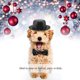 thumbnail image 1 of Sombrero para perros Sombrero para perros Sombrero para mascotas Conjunto de pajarita Sombrero de lentejuelas negras Perros Gatos Regalo Heilwiy de moda, 1 of 2