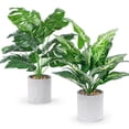 thumbnail image 1 of WUKOKU - 2 plantas falsas de 16 pulgadas, plantas tropicales artificiales para interiores para hogar, oficina, computadora, cocina, ba&ntilde;o, mesa, estante de decoraci&oacute;n, 1 of 7