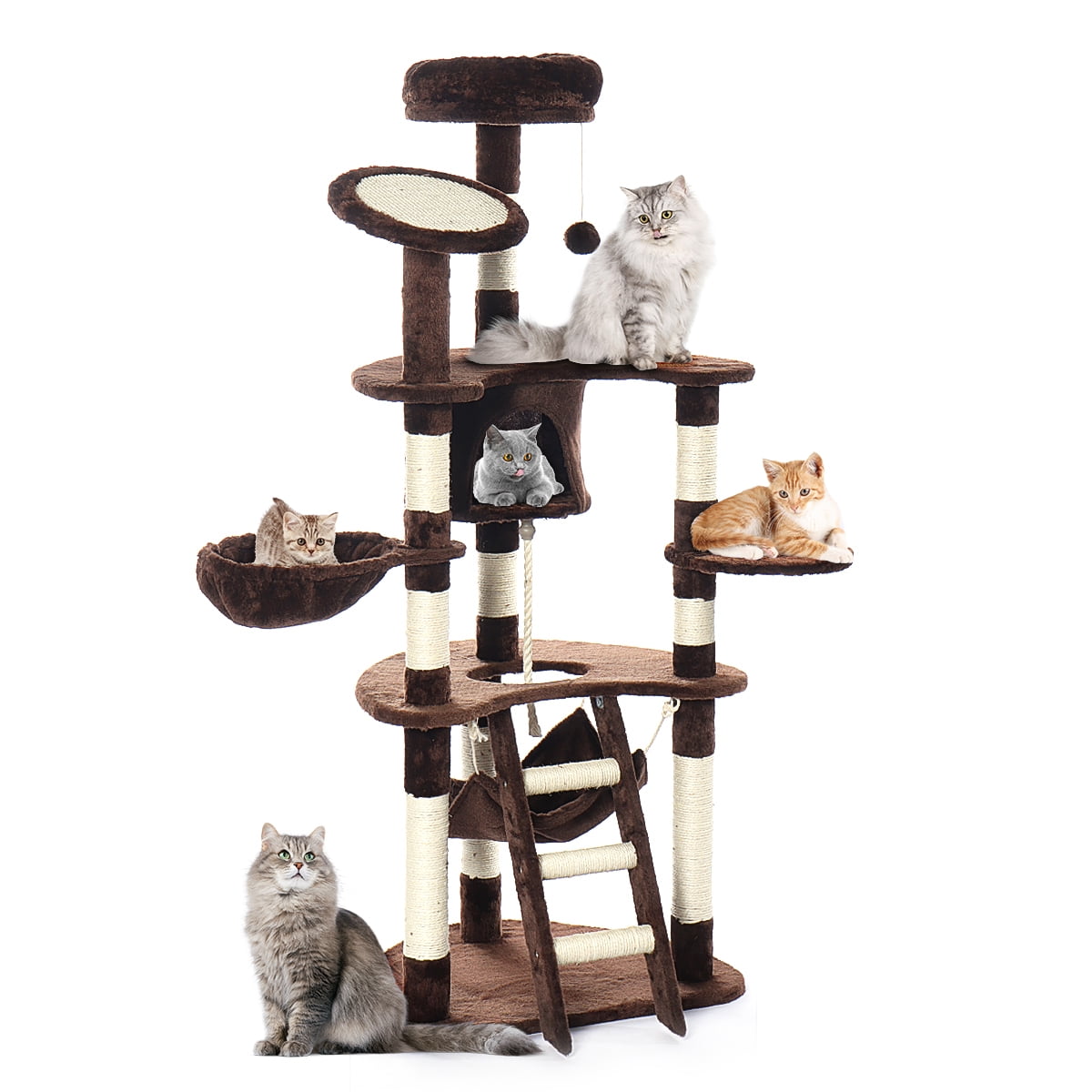 large cat climbing frames