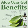 thumbnail image 3 of Gel de aloe vera Earth's Daughter, hidratante orgánico de 355 ml, 3 of 9