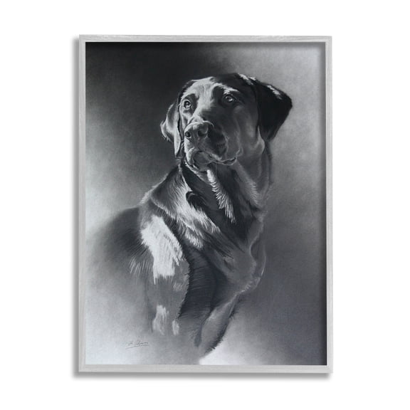 Stupell Industries Charcoal Pencil Labrador Dog Portrait Vintage Pet Traditional Drawing Gray Framed Art Print Wall Art, 24 x 30, Design by Cole Johnson