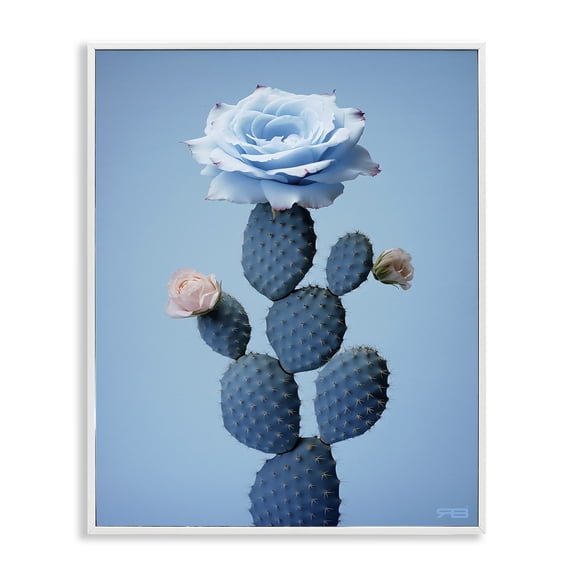 Stupell Industries Contemporary Blue Rose & Cactus White Framed Giclee Art, 24 x 30, by RB