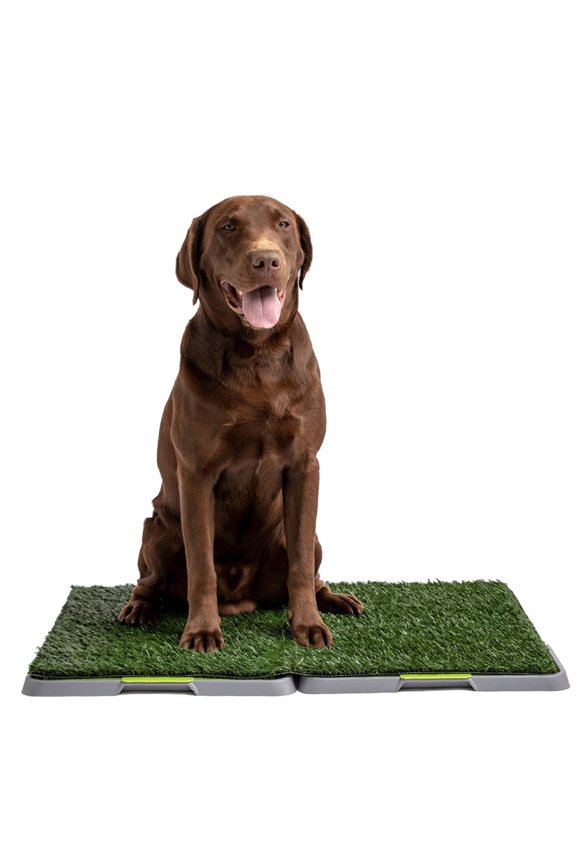 Open Box SILVER PAW 3-LAYER WASHABLE PEE PADS WITH TRAY SP-805833193604 - LARGE - GREEN