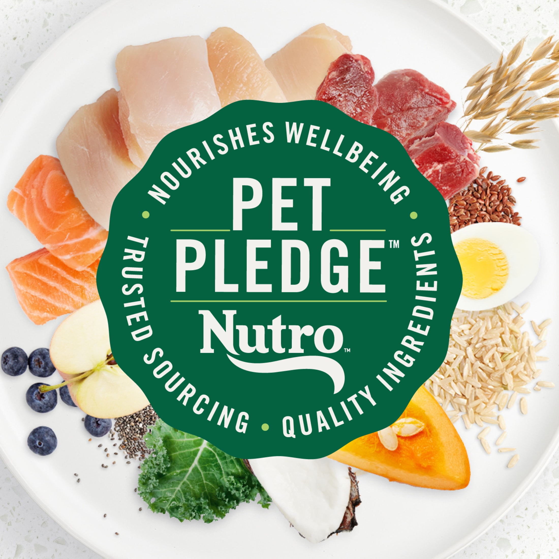 Nutro Ultra High Protein Dry Puppy Food, Trio of Proteins from Chicken, Lamb and Salmon, 12 lb Bag